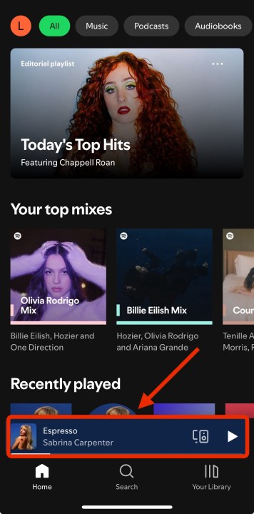 The Now Playing tab on Spotify for iOS.